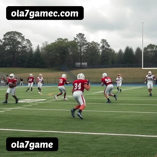 Jogo responsável ola7game - Ferramentas de controle, limites, auto-exclusão, suporte CVV 188